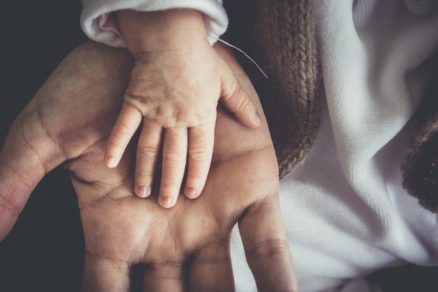 The Northern Echo: A Father and child's hand next to each other. Credit: Canva