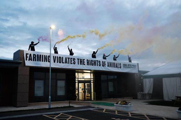 The Northern Echo: Animal rights activists from the Animal Justice Project climbed on the roof of Darlington Farmers Mart