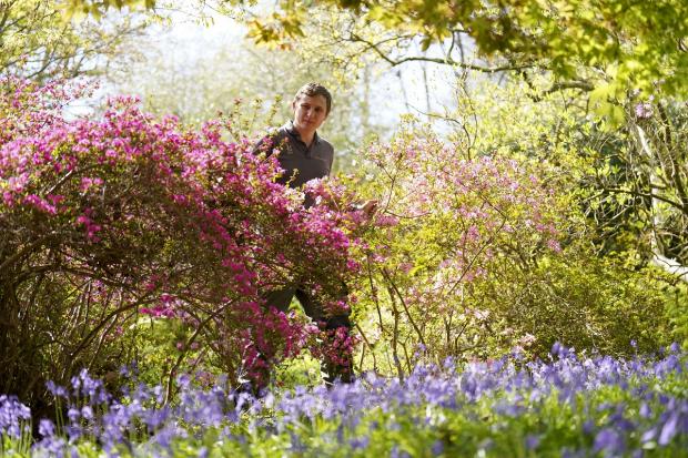 The Northern Echo: National Trust properties are a great place to reconnect with nature: Picture: PA