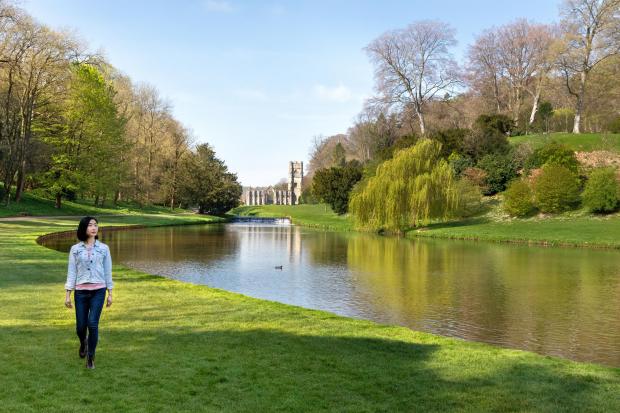 The Northern Echo: Fountains Abbey and Studley Royal Water Gardens, Ripon