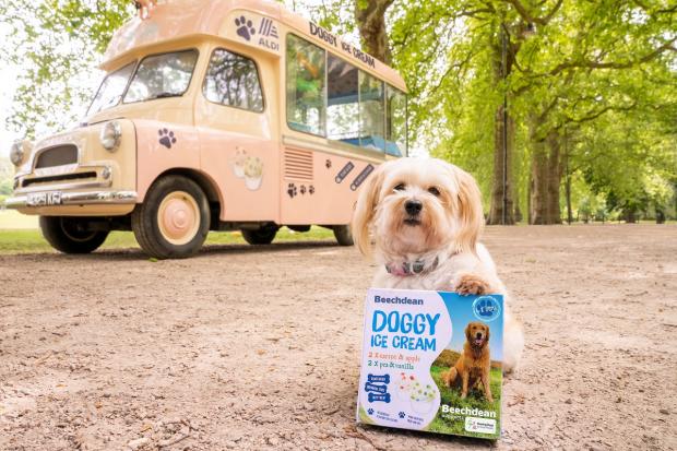 The Northern Echo: The doggy ice cream comes in two flavours irresistible to tail-waggers. Picture: Aldi 
