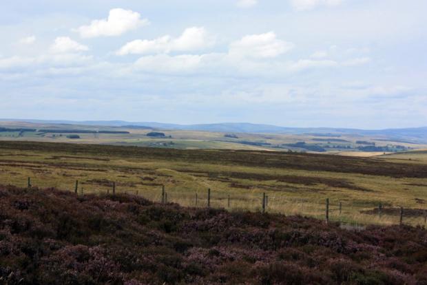 The Northern Echo: A spectacular view of the Northumberland countryside from Winter’s Gibbet. Picture: DAVID SIMPSON