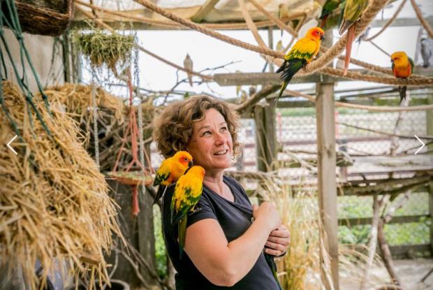 The Northern Echo: Tricia Phillips has had plans for a Parrot Sanctuary near Thirsk approved Picture: SARAH CALDECOTT