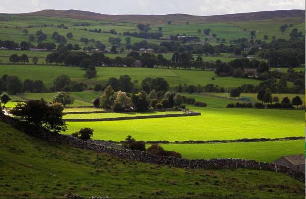 The Northern Echo: The Yorkshire Dales Picture: Pixabay