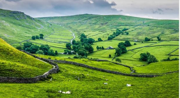 The Northern Echo: Yorkshire Dales National Park Picture: Pixabay