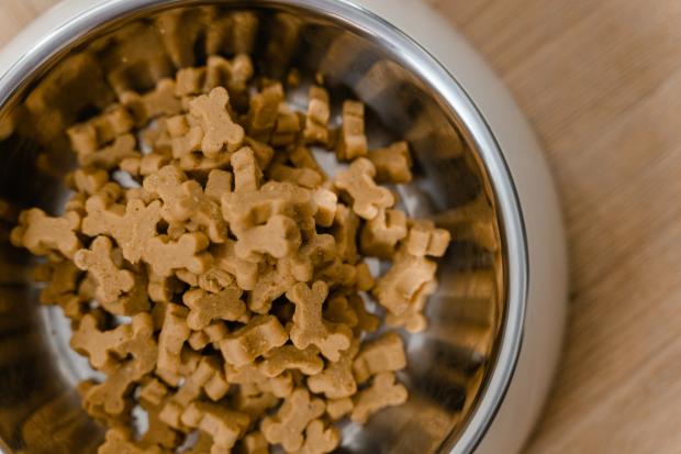 The Northern Echo: Major pet food brands are missing from Tescos. (Canva)