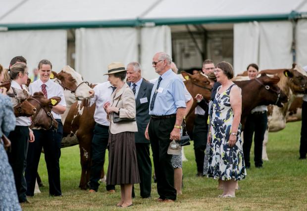 The Northern Echo: HRH The Princess Royal at the Great Yorkshire Show Picture: SARAH CALDECOTT