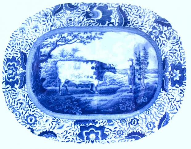 The Northern Echo: A blue and white Staffordshire plate which was a Durham Ox souvenir