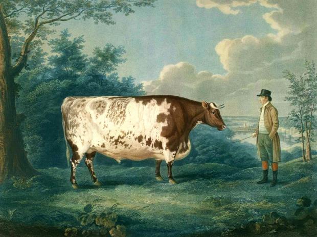 The Northern Echo: The Durham Ox, with John Day