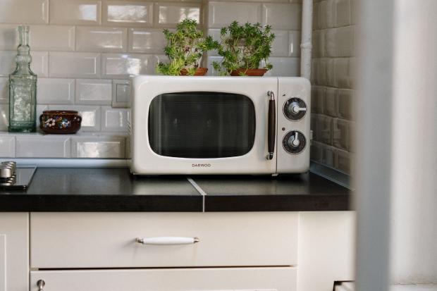 The Northern Echo: A microwave. Credit: Canva