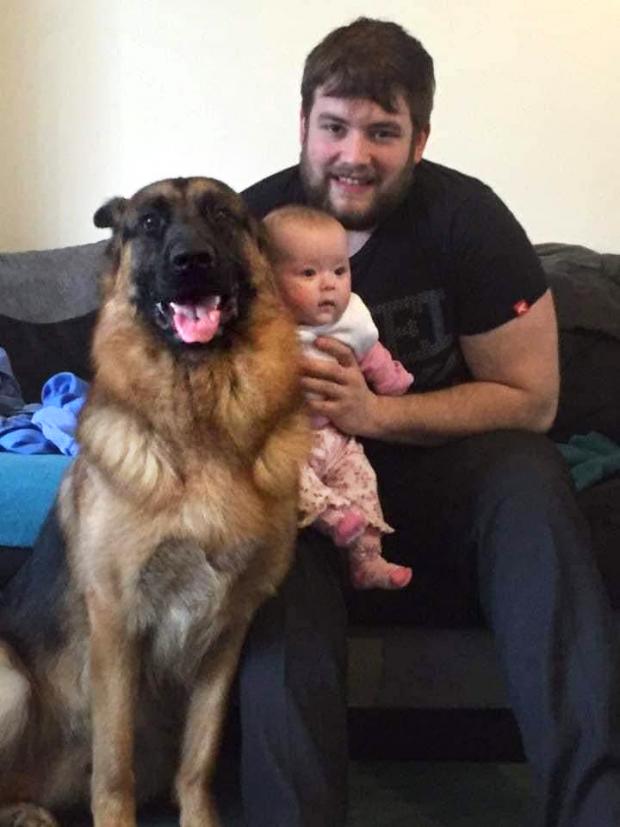 The Northern Echo: Paul Haworth and baby Olivia with Max 