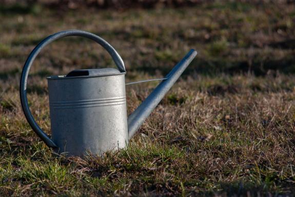 The Northern Echo: Watering can sitting on the grass. Credit: PA The Northern Echo: Watering can sitting on the grass. Credit: PA