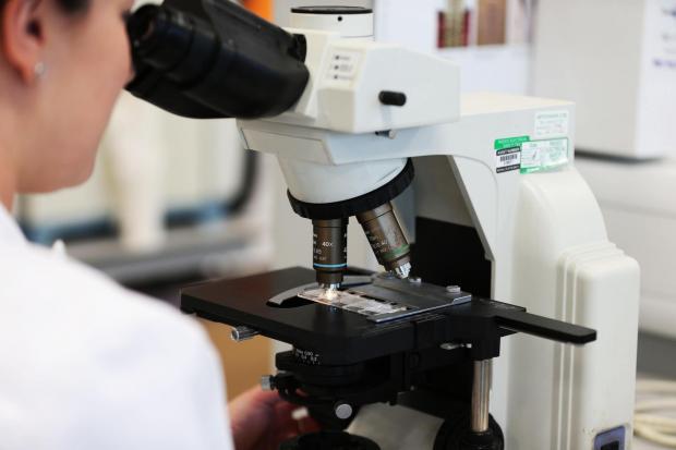 The Northern Echo: Samples being analysed in a microscope. Credit: PA