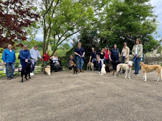 The Northern Echo: A sponsored dog walk attracted lots of people – and their best friends – who wanted to help raise money for Animal Friends of Turkey