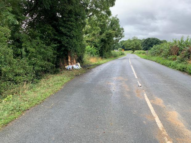 The Northern Echo: Flowers at the scene of the crash Picture: Patrick Goldsbrough