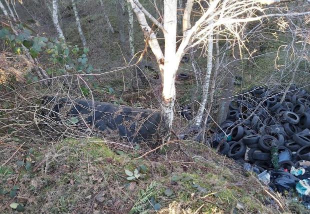 The Northern Echo: A before image of the tyres and other rubbish at Hamsterley. Picture: DCC WARDENS