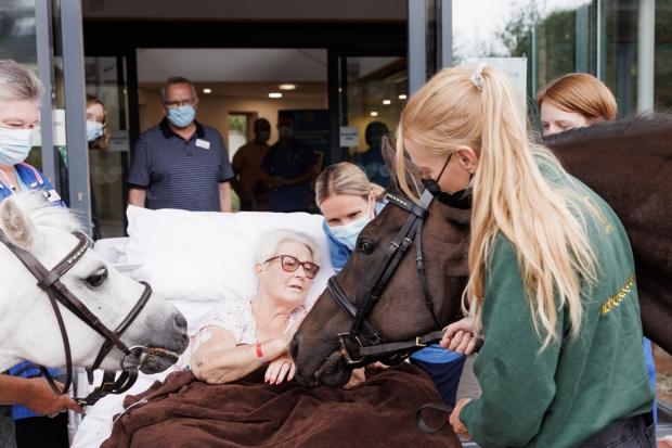 Josephine along with her daughter Holly and husband receive a visit from York Racecourse Equine Ambassador Remy at St Leonard’s Hospice Picture: Jeremy Philips