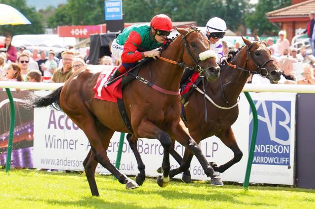 Diamondonthehill gets the better of Give It Some Teddy at Redcar. Picture Tony Knapton