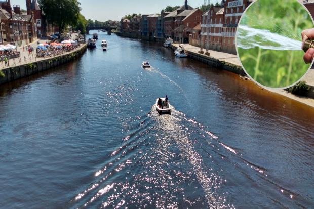 A hosepipe ban is to be imposed in York from August 26, despite the city's supplies coming from the plentiful River Ouse