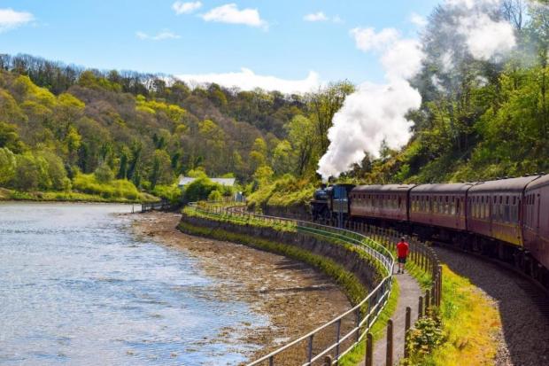 The North Yorkshire Moors Railway (NYMR) has announced it was pulling all its steam services due to fires caused by engine sparks (file photo)