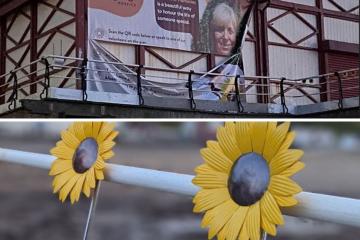 Teesside Hospice removes Saltburn sunflowers after vandalism