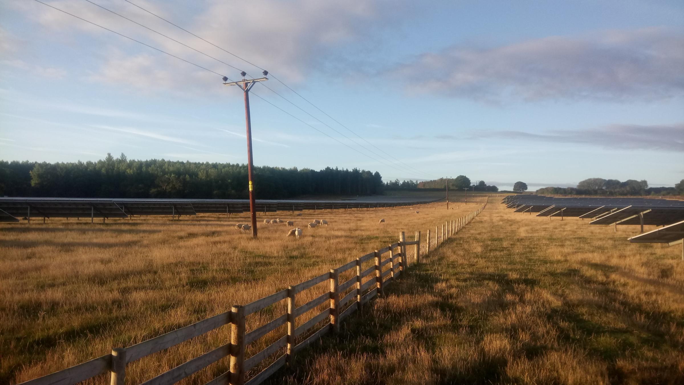 Solar farm plans submitted for coal mine near Bishop Auckland - Vimarsana News
