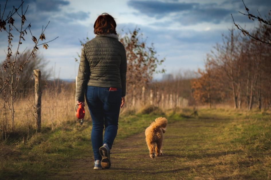 South Kilvington residents fury as dog walking field approved 