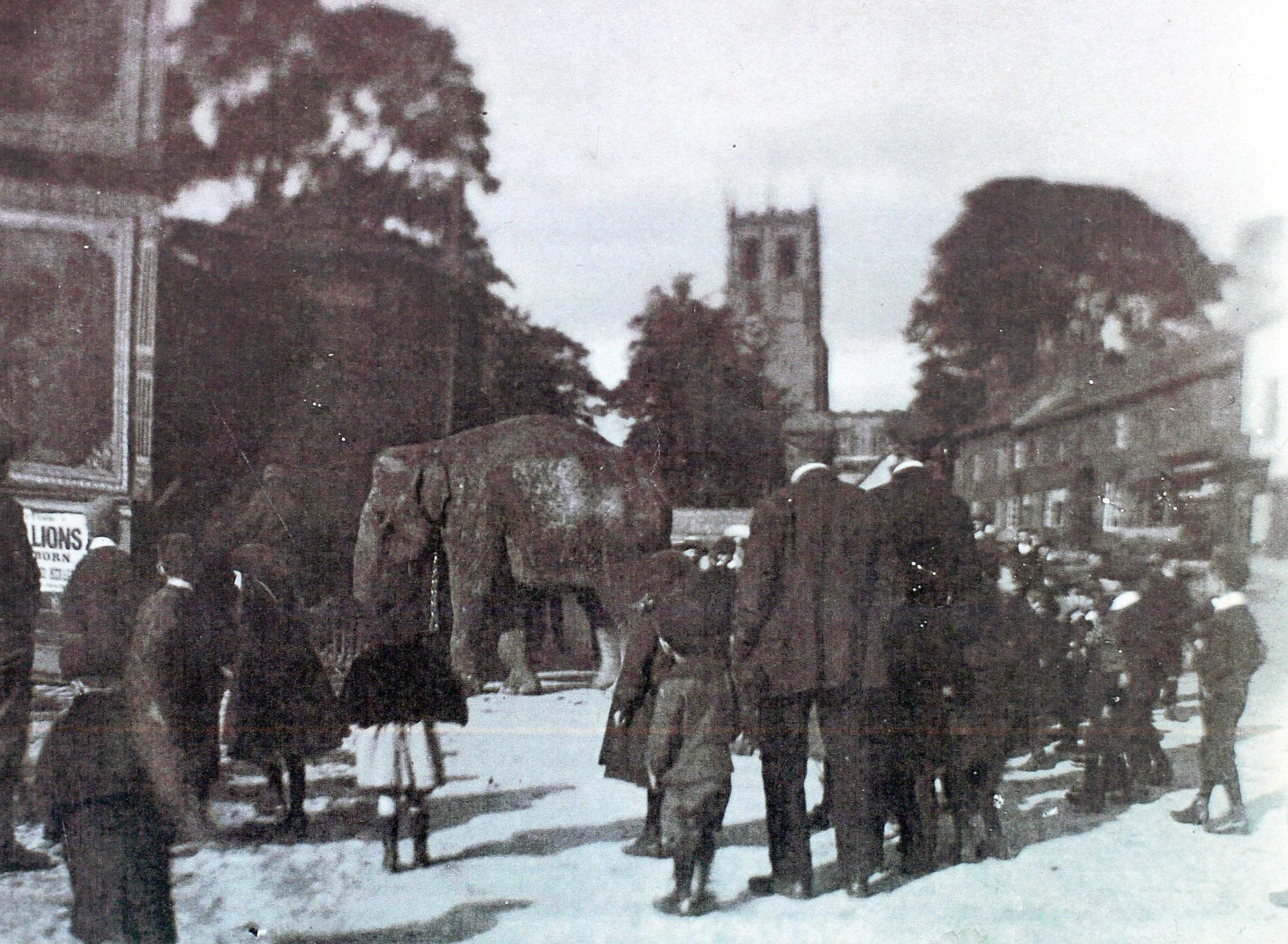 When an elephant fell off a North Yorkshire bridge - Vimarsana News