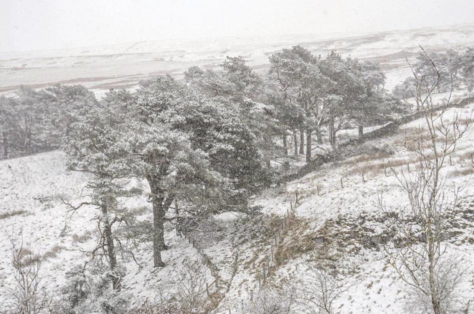 The County Durham village that once held cold temperature record at a freezing -18.3C 