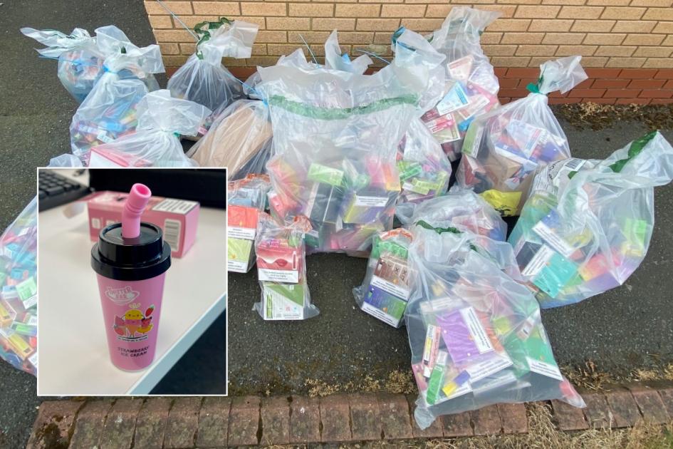 Toy-shaped vape is among hundreds seized in County Durham