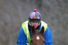 Super star : Collier Hill on the gallops