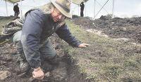 AT WORK: Phil Harding at the Time Team site   near High Coniscliffe, County Durham 