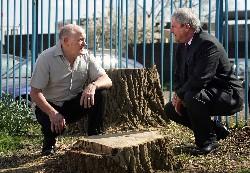 COUNCILLORS ANGERED: From left, councillors Steve Walmsley and Ian Dalgarno with some of the tree stumps in Thornaby