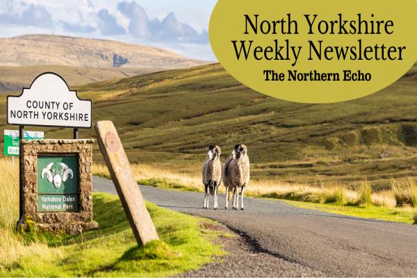 North Yorkshire Weekly promo image