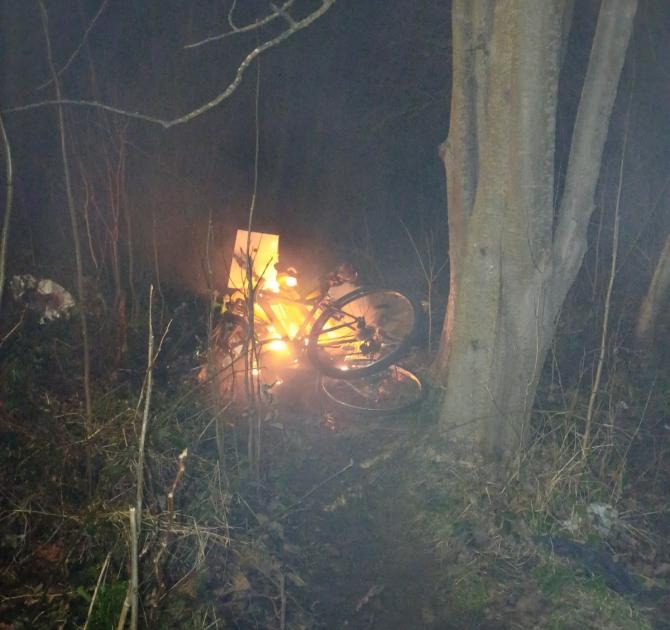Fire crews in Stanley attend 'deliberate' woodland fires 