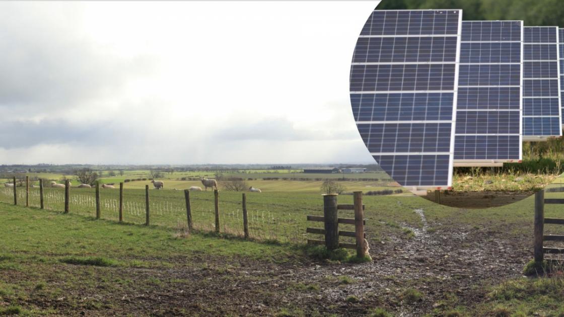 MPs criticise plans for Byers Gill Solar Farm near Darlington 