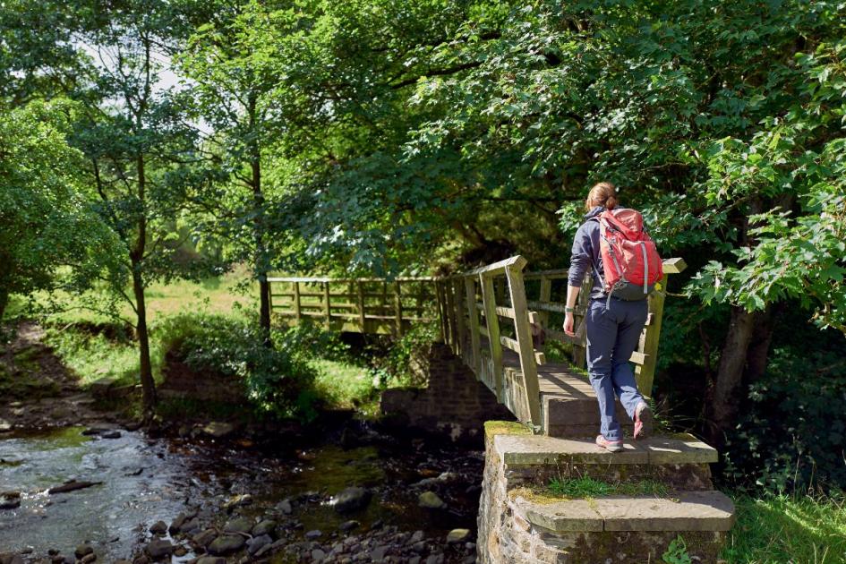 The five best County Durham walks for Spring with amazing views along the way