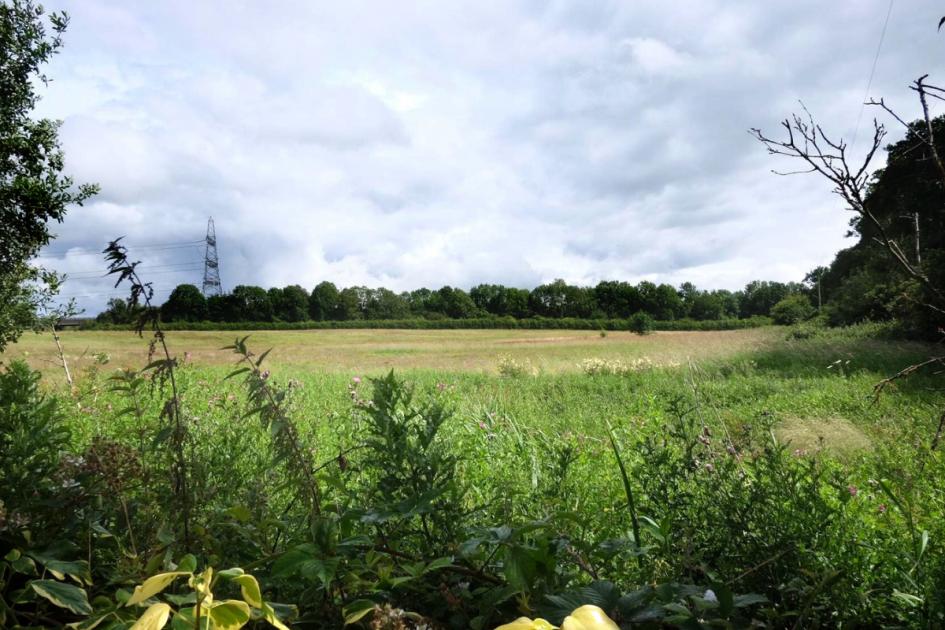 Middlesbrough: Housing plans for Nunthorpe Grange set for refusal 