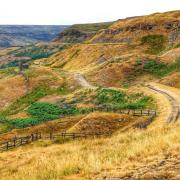 The North York Moors National Park