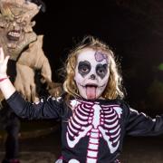 Fun for all the family at Lightwater Valley this October
