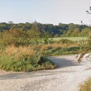 Broackadale Nature Reserve