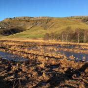 Swarth Moor SSSI has been restored by being ‘re-wetted’ as part of a Dales project