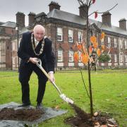 Cllr Stuart Martin plants a tree at County Hall to commemorate The Queen’s Platinum Jubilee