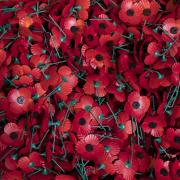 Aside from the red poppy, there are a number of others worn around Remembrance that each symbolise something different (Jane Barlow/PA)