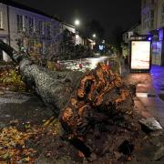 Storm Arwen pictures show trail of destruction across North East