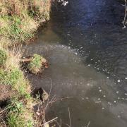 Sewage entering the River Gaunless from polluted Coundon Burn, near Bishop Auckland, in March 2017