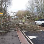Handout image from the Twitter feed of @RossonWyeCops of a small tree blown into the road at Three Crosses in Ross-on-Wye during Storm Dudley.