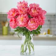 M&S is selling colour-changing pink peonies and customers are raving about them. Picture: Marks & Spencer