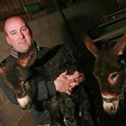 Mark Hebdon, pictured in 2009, at Monk Park Farm petting visitor centre, near Thirsk. Picture: THE NORTHERN ECHO