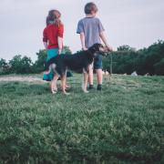 TikTok dog trainer reveals eight best breeds to own if you have kids. (Canva)